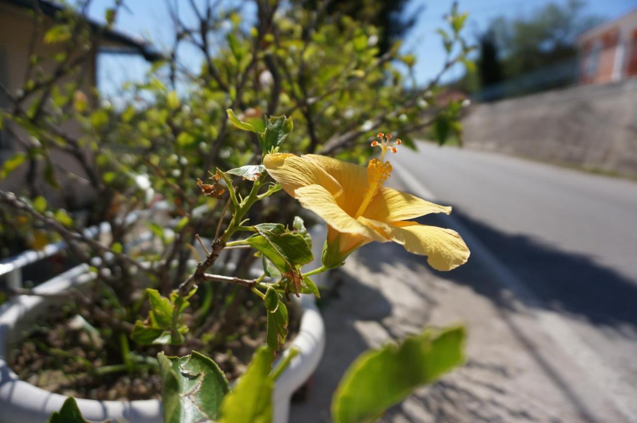 Kefalonia Sea View Cottage Ano Valtai Zewnętrze zdjęcie