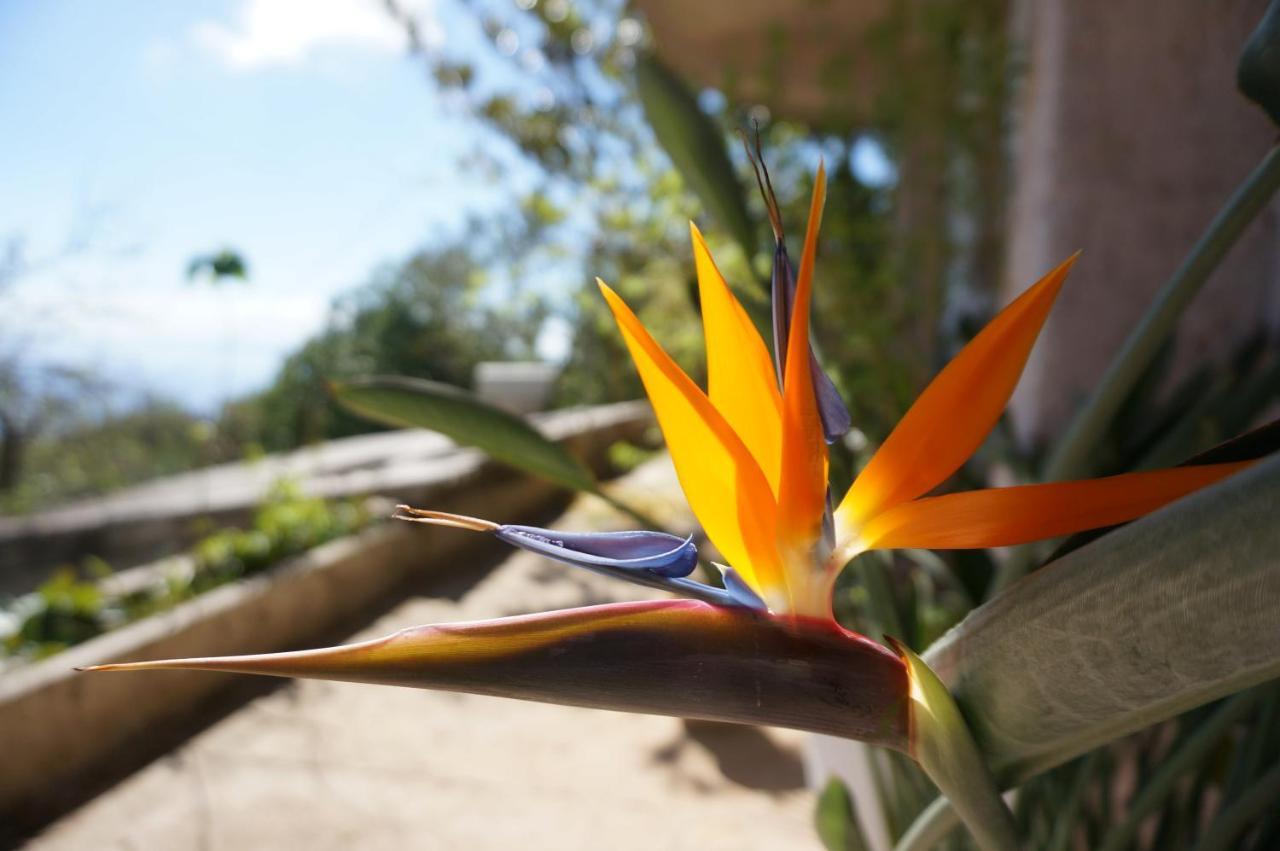 Kefalonia Sea View Cottage Ano Valtai Zewnętrze zdjęcie
